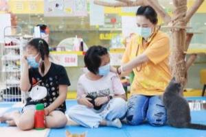 阳光青少年成长计划