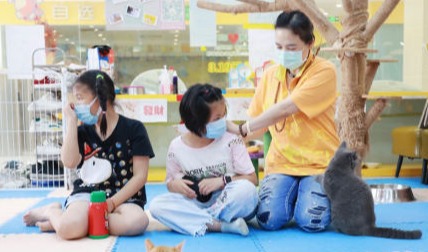 阳光青少年成长计划